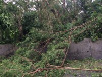 〜台風去ったよ〜民宿 しまんちゅ